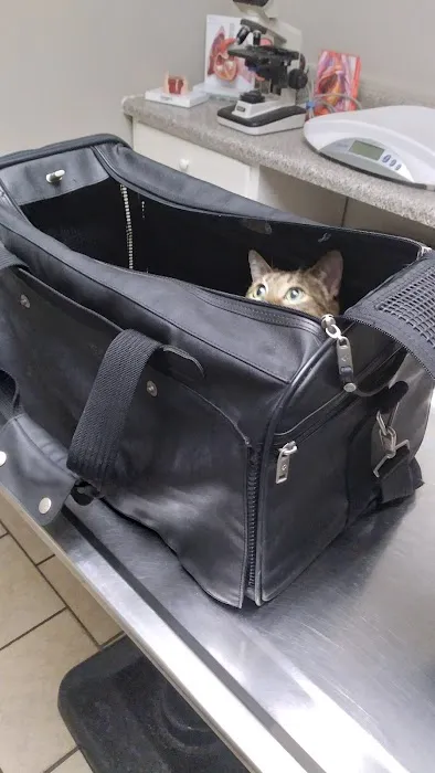 Phenix Animal Hospital Picture 3