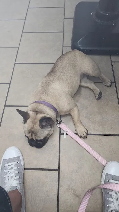 Phenix Animal Hospital Picture 9