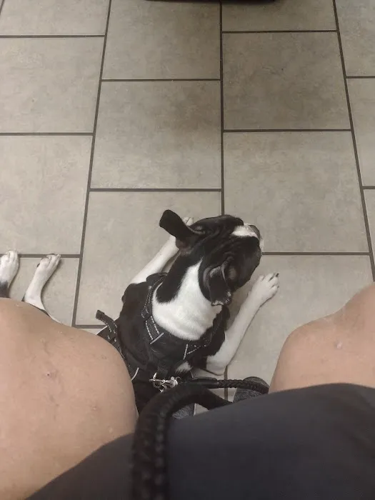 Phenix Animal Hospital Picture 7