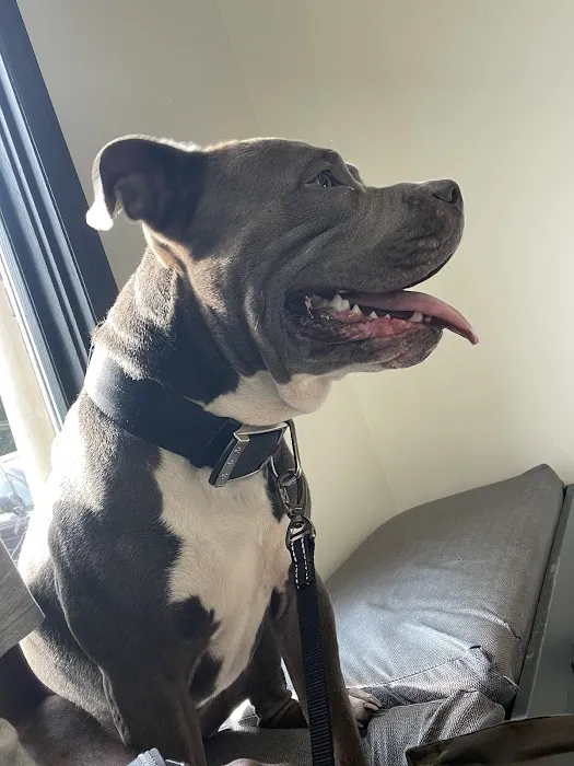 Sharp Animal Hospital Picture 2