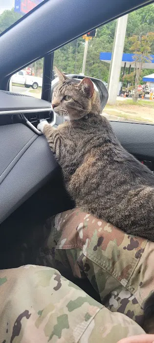 Sharp Animal Hospital Picture 4