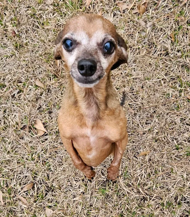 Sharp Animal Hospital Picture 7