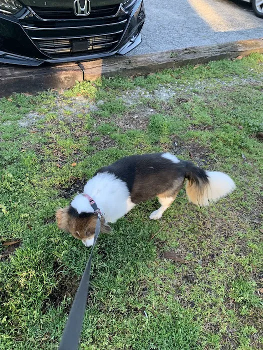 Sharp Animal Hospital Picture 8