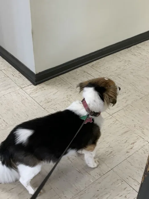 Sharp Animal Hospital Picture 6