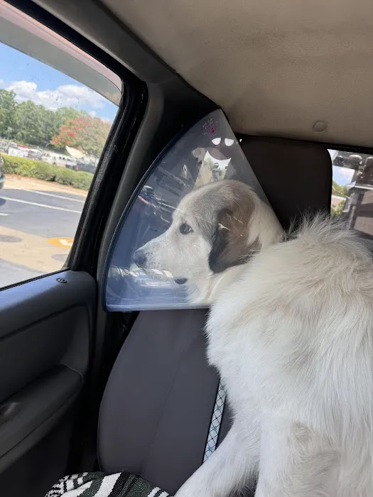 Sharp Animal Hospital Picture 9