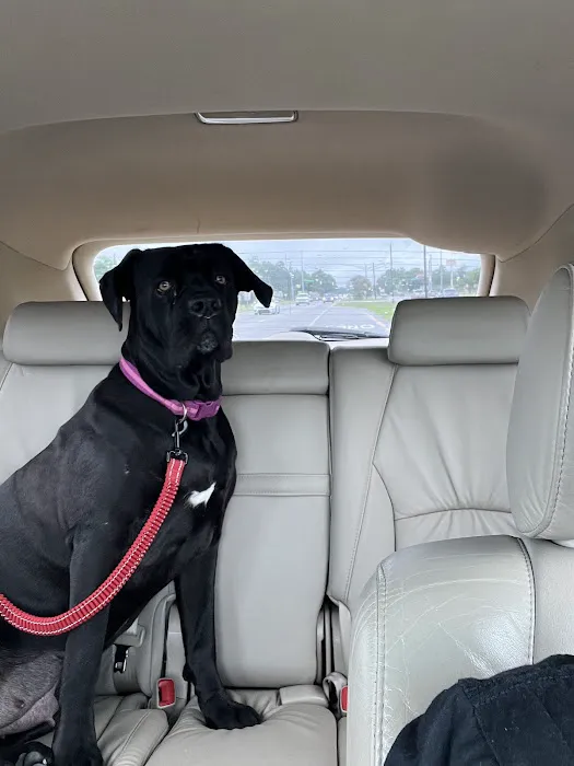 Sharp Animal Hospital Picture 10