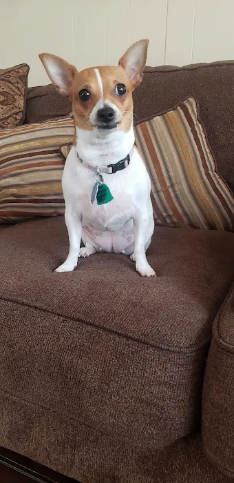 Langford David M DVM Picture 6