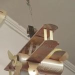 Langford David M DVM