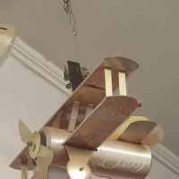 Langford David M DVM ico