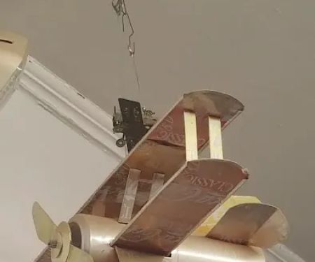 Langford David M DVM