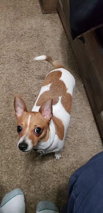 Langford David M DVM Picture 3