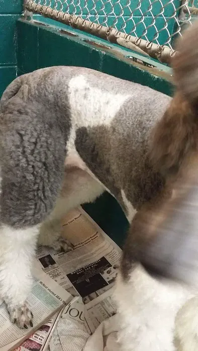 Bessemer McCalla Animal Clinic Picture 3