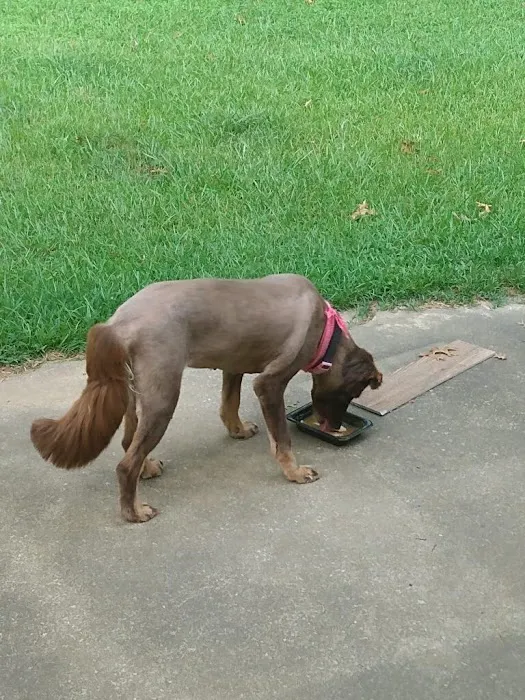Bessemer McCalla Animal Clinic Picture 4