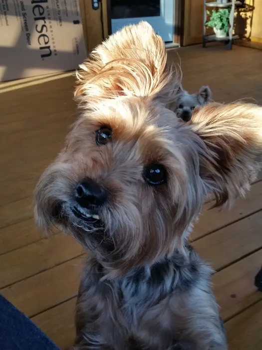 Bessemer McCalla Animal Clinic Picture 8