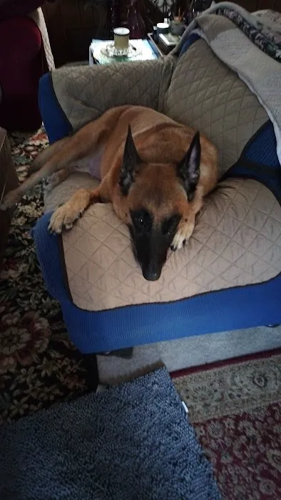 Bessemer McCalla Animal Clinic Picture 9