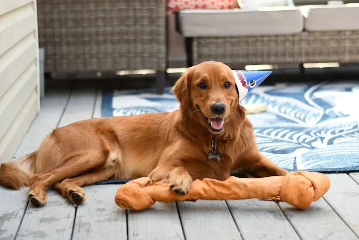 McAdory Veterinary Clinic Picture 1