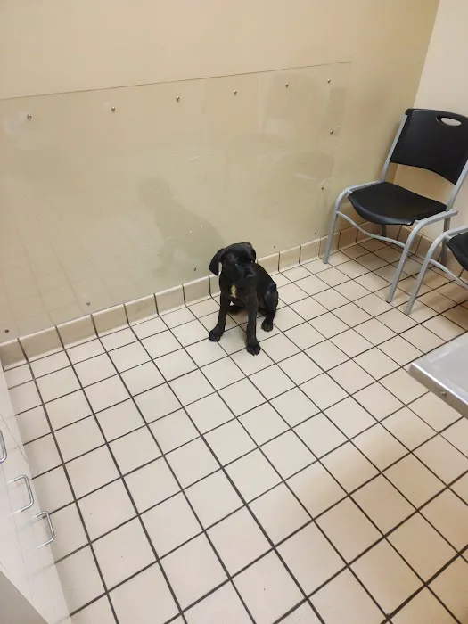 McAdory Veterinary Clinic Picture 4