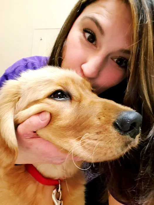 McAdory Veterinary Clinic Picture 3