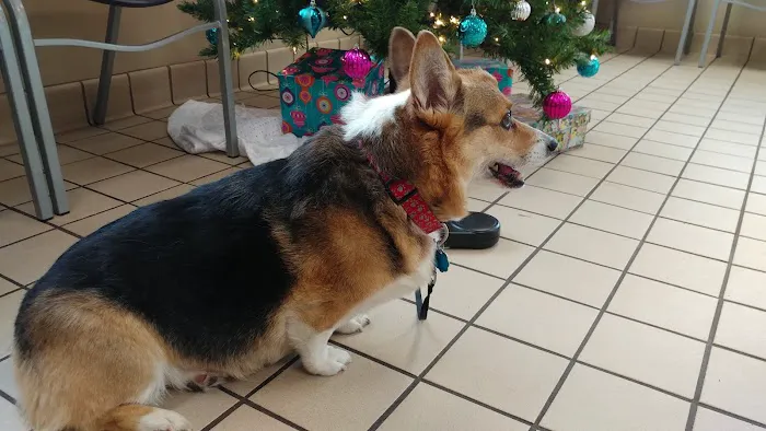 McAdory Veterinary Clinic Picture 7