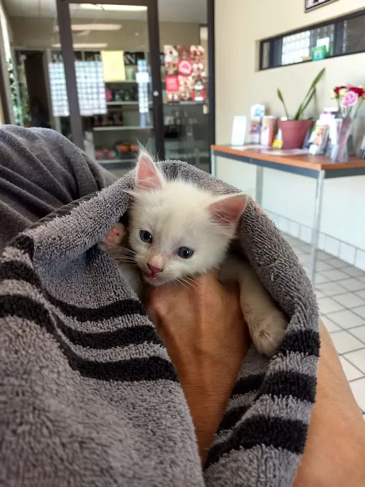 McAdory Veterinary Clinic Picture 8