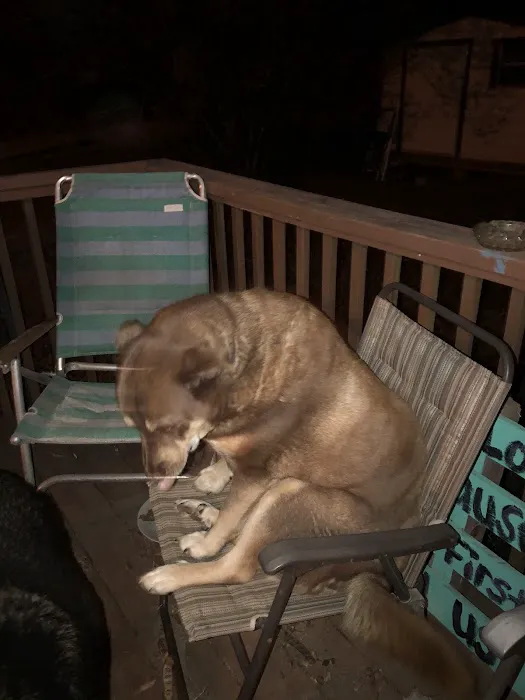 McAdory Veterinary Clinic Picture 6