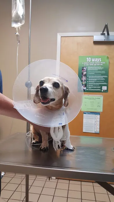 McAdory Veterinary Clinic Picture 9