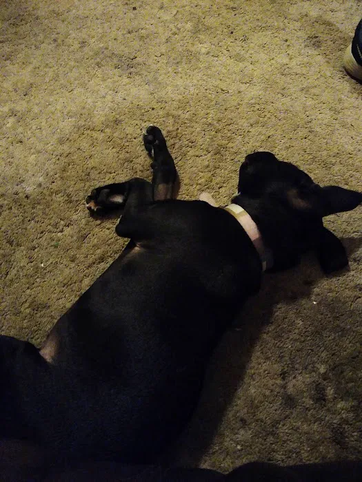 McAdory Veterinary Clinic Picture 10