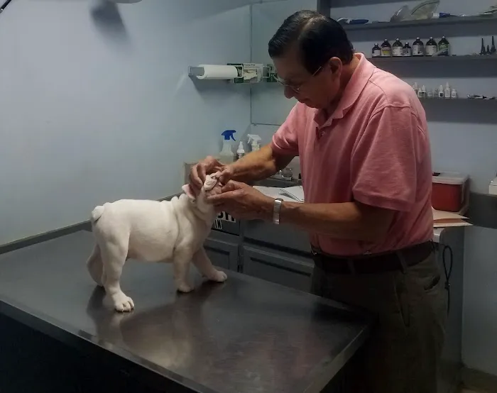 Bessemer Pet Clinic Picture 5