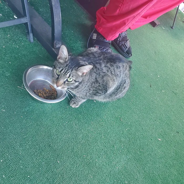 Bessemer Pet Clinic Picture 10