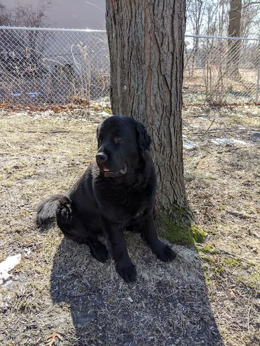 Pet Medical Center of Urbandale Picture 1