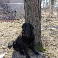 Pet Medical Center of Urbandale ico