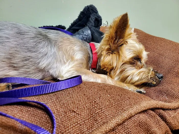 Pet Medical Center of Urbandale Picture 6