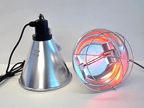 INTERNATIONAL VETERINARY SUPPLIES Picture 7