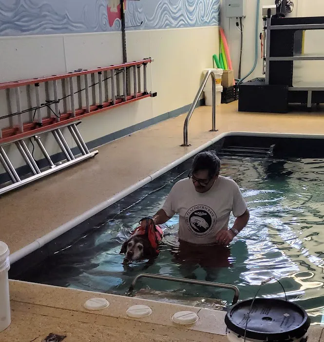 Urban Pet Hospital And Resort Picture 2