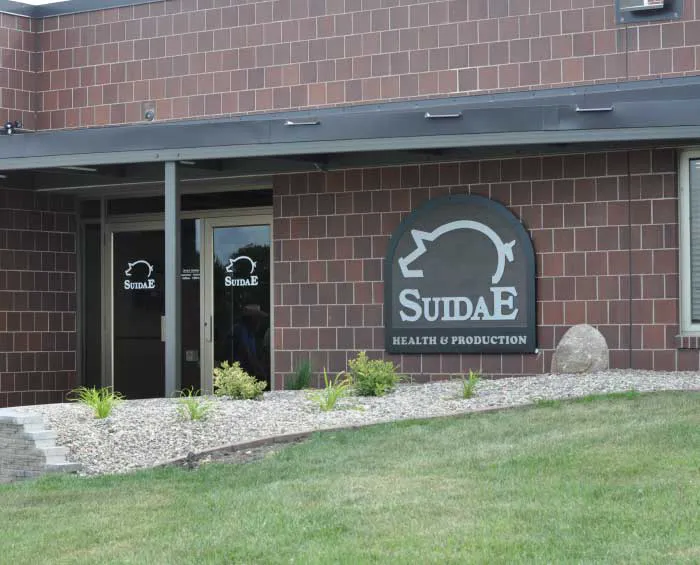 Suidae Health & Production Picture 1