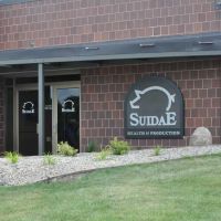 Suidae Health & Production ico