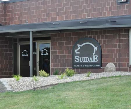 Suidae Health & Production