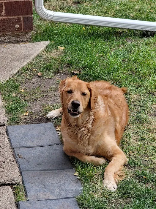 Holmes Animal Clinic Picture 1