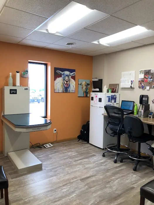 Holmes Animal Clinic Picture 5