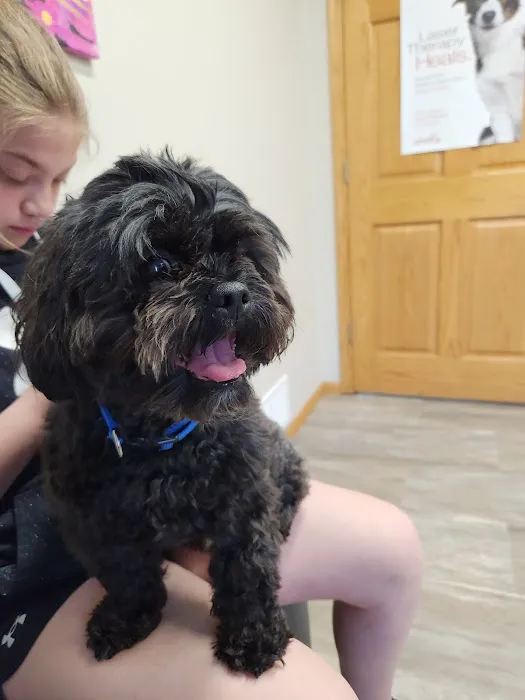 Holmes Animal Clinic Picture 4