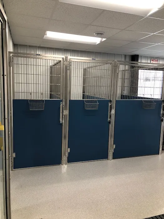 Holmes Animal Clinic Picture 10