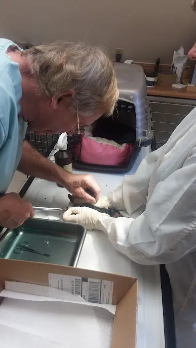 Emmetsburg Veterinary Clinic Picture 2