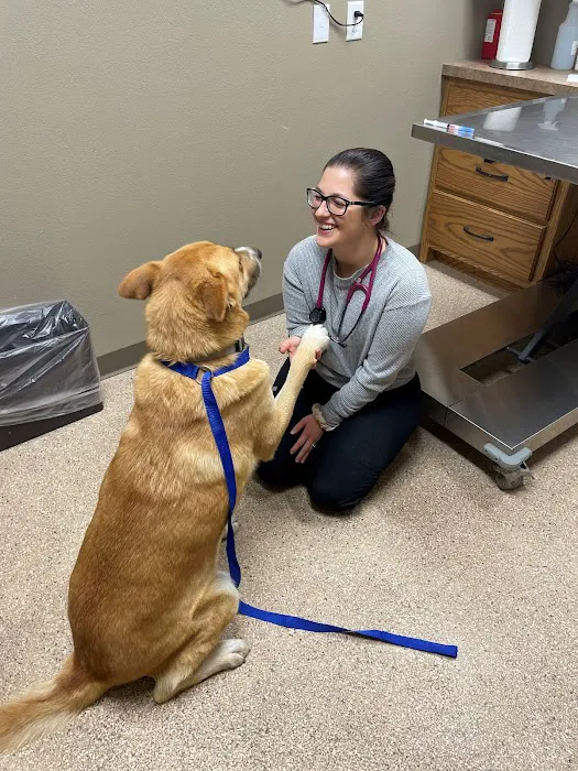 Lake City Veterinary Clinic Picture 2