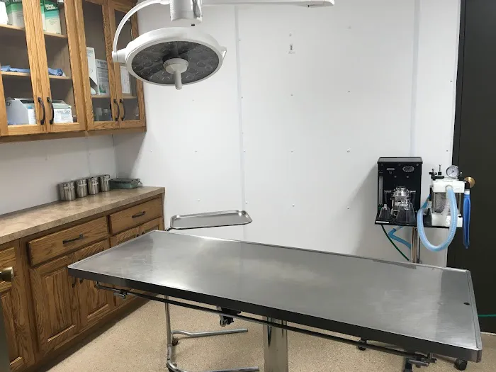 Lake City Veterinary Clinic Picture 6