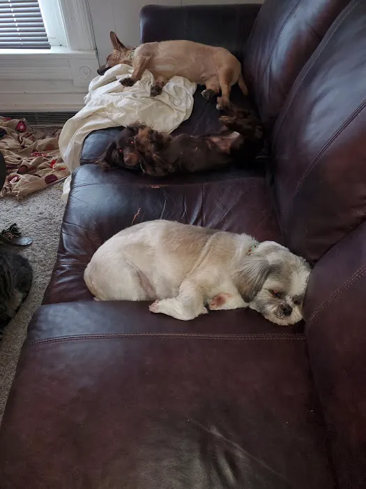 Lake City Veterinary Clinic Picture 8