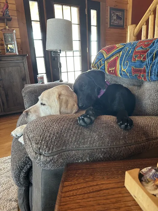 Lake City Veterinary Clinic Picture 9