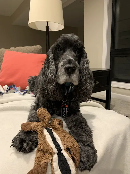 The Animal Hospital of Adel Picture 1