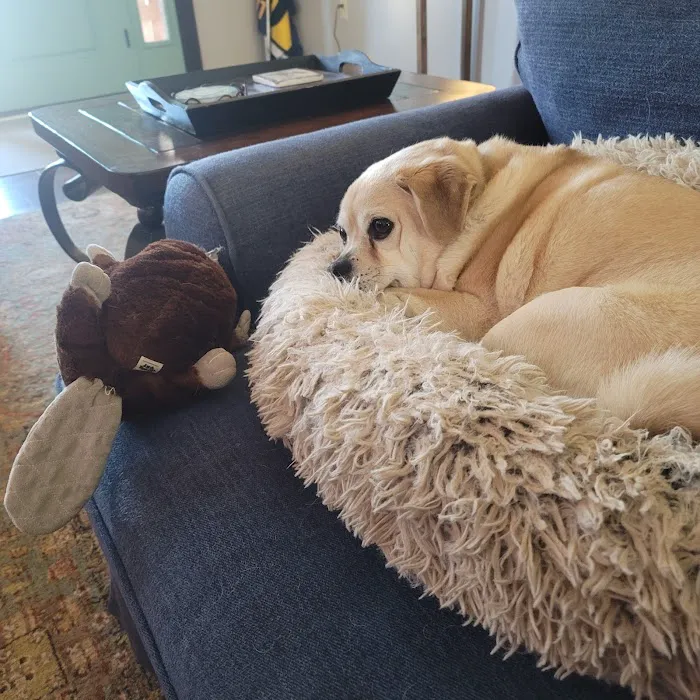 The Animal Hospital of Adel Picture 10