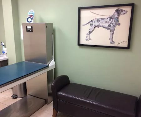 Adel Veterinary Clinic