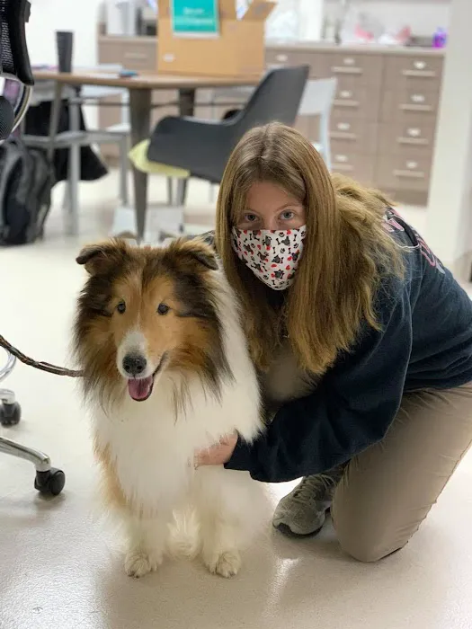 Adel Veterinary Clinic Picture 6